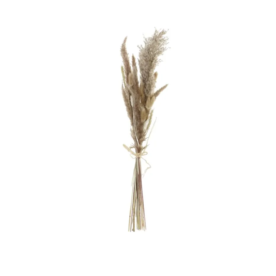 Branche De fleurs séchées^Banak Sale