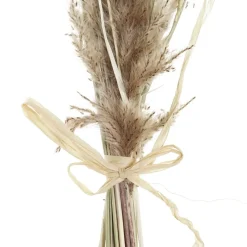 Branche De fleurs séchées^Banak Sale