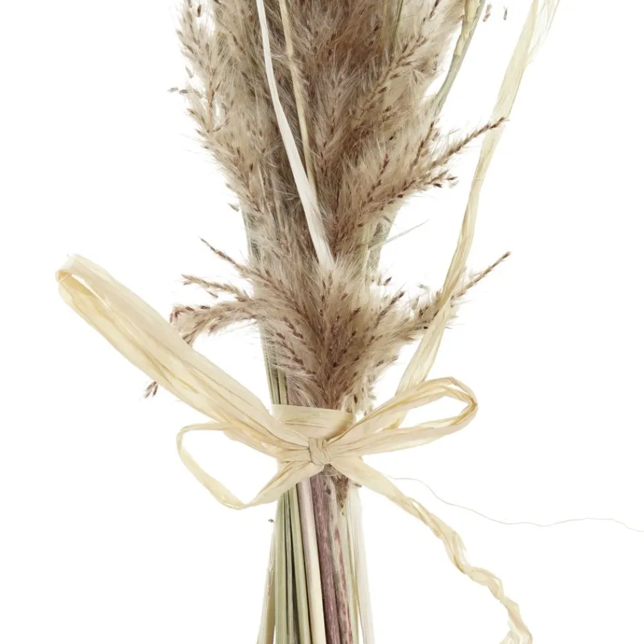 Branche De fleurs séchées^Banak Sale