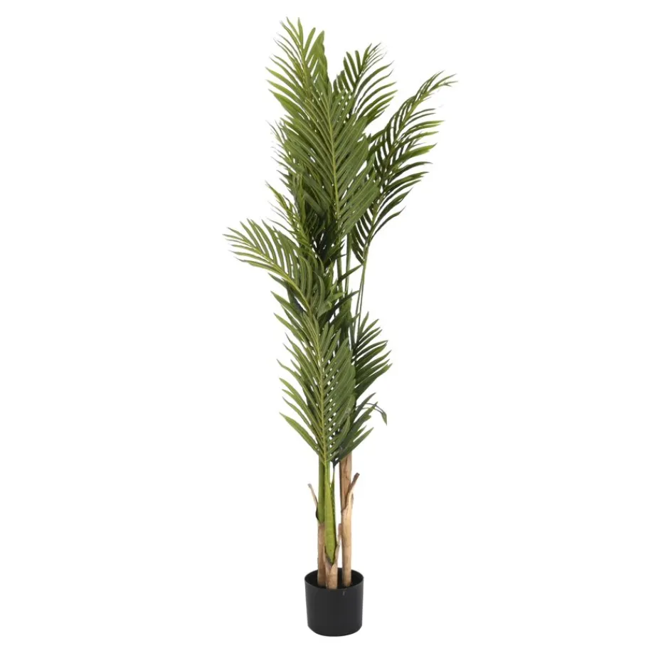 Hadas Plante de matériau synthétique^Banak Online