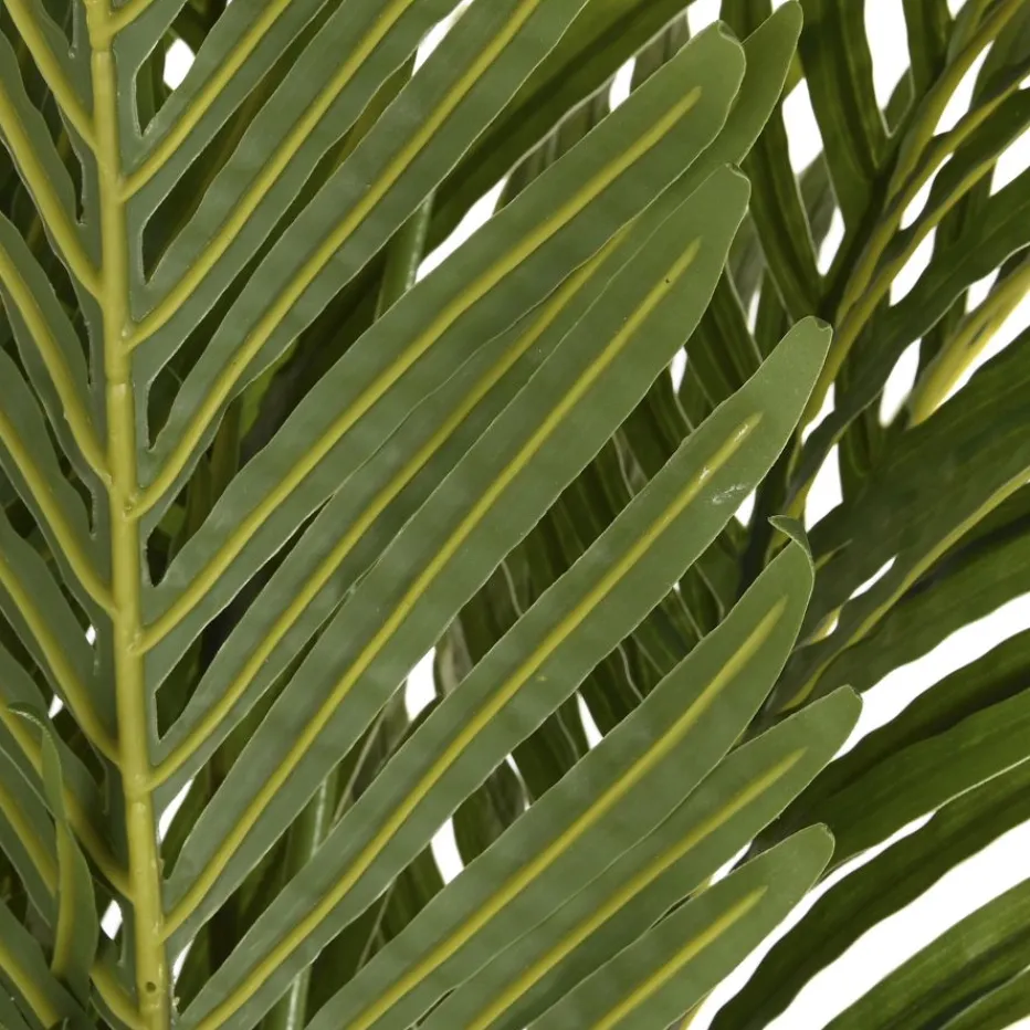 Hadas Plante de matériau synthétique^Banak Online