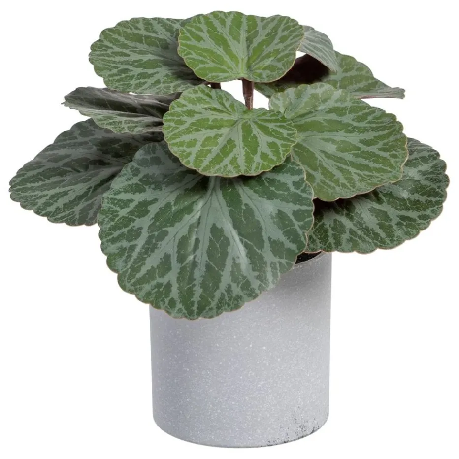Lampe Plante en polyéthylène et fer^Banak Online