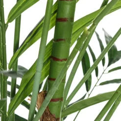 Nidur Plante bambou vert pvc^Banak Sale