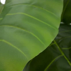 Pana Plante artificielle^Banak Best