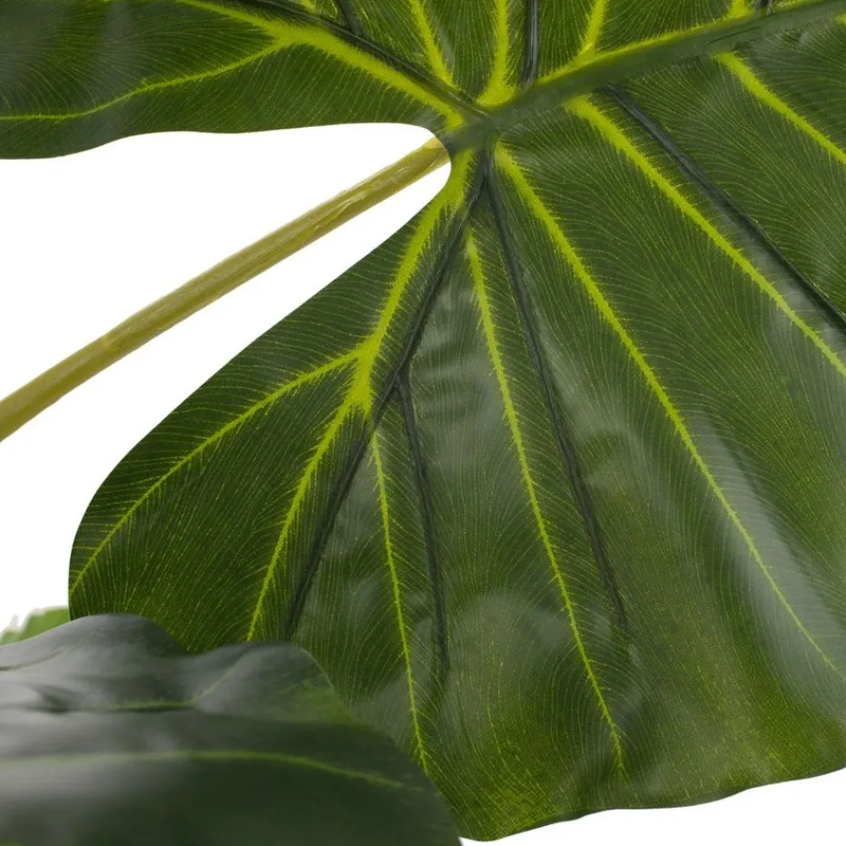 Pana Plante artificielle^Banak Best