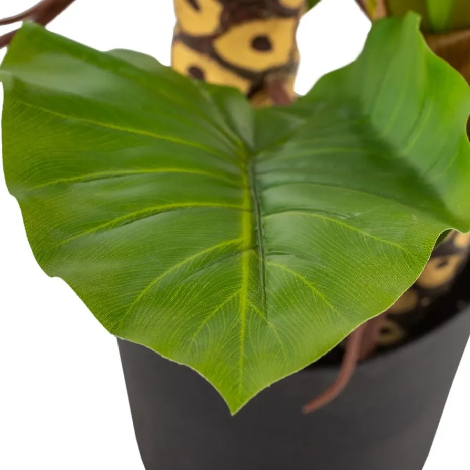 Pana Plante artificielle^Banak Best