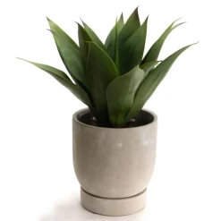 Zaku Pot de fleurs en ciment^Banak New