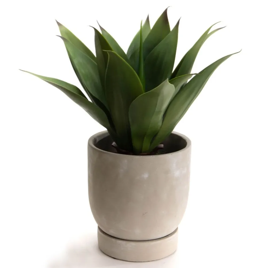 Zaku Pot de fleurs en ciment^Banak New